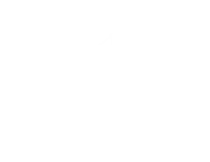 Roar accounts logo valkoinen